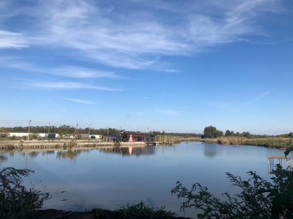 В коридорах кубанской власти – вспышки таинственных болезней В коридорах кубанской власти – вспышки таинственных болезней