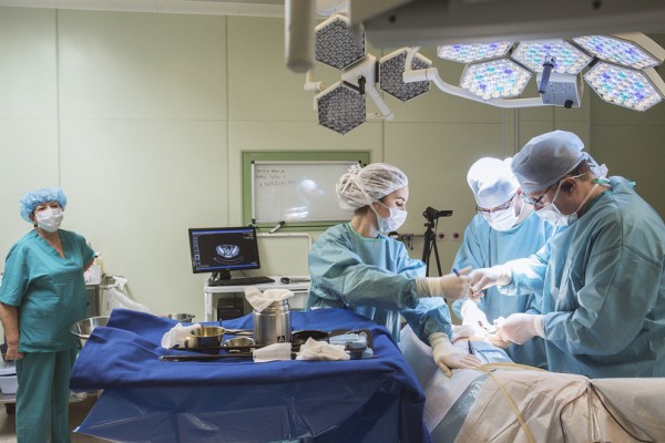 Известные российские урологи прооперируют пациентов в Краснодаре