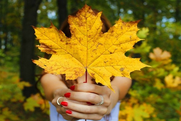 Бабье лето на Кубани: Синоптики рассказали, сколько дней будет тепло Бабье лето на Кубани: Синоптики рассказали, сколько дней будет тепло