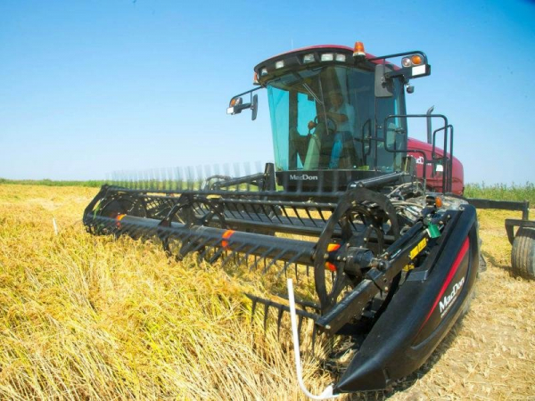 До миллиона тонн кубанского риса в этом году не хватило 50 тысяч тонн