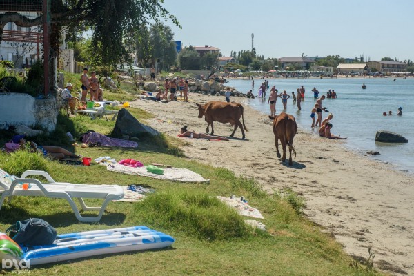 АЭС, которой не было. «Если бы реактор заработал, то Крыму вообще был бы никто не нужен»