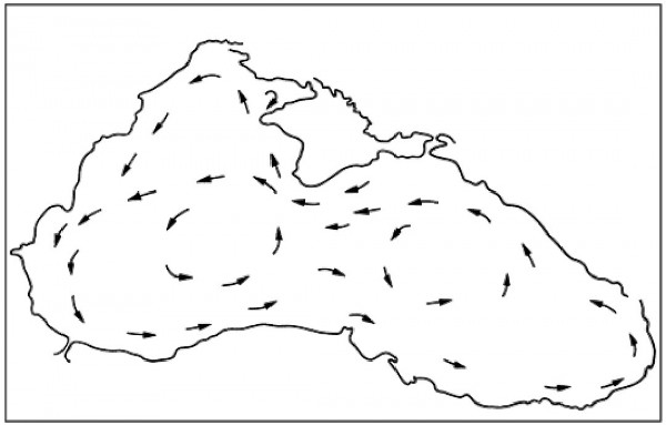День Черного моря: что ты знаешь о нем