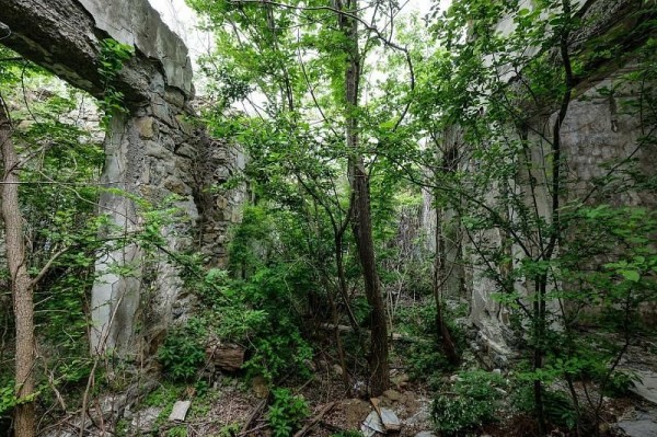 Дача Суворина в Туапсинском районе попала в топ-10 самых интересных заброшенных усадеб России
Дача Суворина в Туапсинском районе попала в топ-10 самых интересных заброшенных усадеб России