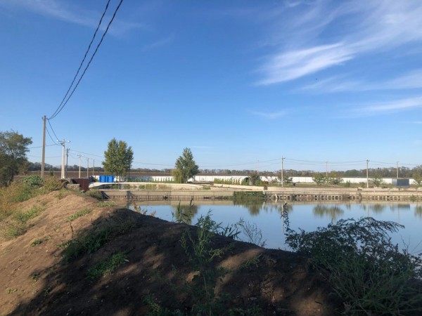 В коридорах кубанской власти – вспышки таинственных болезней В коридорах кубанской власти – вспышки таинственных болезней