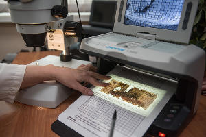 Деньги, много денег — и что с ними происходит в Банке России Деньги, много денег — и что с ними происходит в Банке России