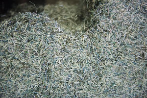 Деньги, много денег — и что с ними происходит в Банке России Деньги, много денег — и что с ними происходит в Банке России