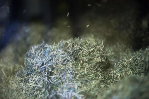 Деньги, много денег — и что с ними происходит в Банке России Деньги, много денег — и что с ними происходит в Банке России