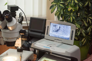 Деньги, много денег — и что с ними происходит в Банке России Деньги, много денег — и что с ними происходит в Банке России