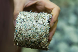 Деньги, много денег — и что с ними происходит в Банке России Деньги, много денег — и что с ними происходит в Банке России