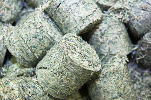 Деньги, много денег — и что с ними происходит в Банке России Деньги, много денег — и что с ними происходит в Банке России