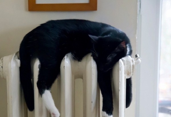 На "ледниковый период" жалуются краснодарцы, подавшие заявку на включение отопления На "ледниковый период" жалуются краснодарцы, подавшие заявку на включение отопления