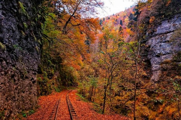 
            Гуамское ущелье открыто для туристов                    