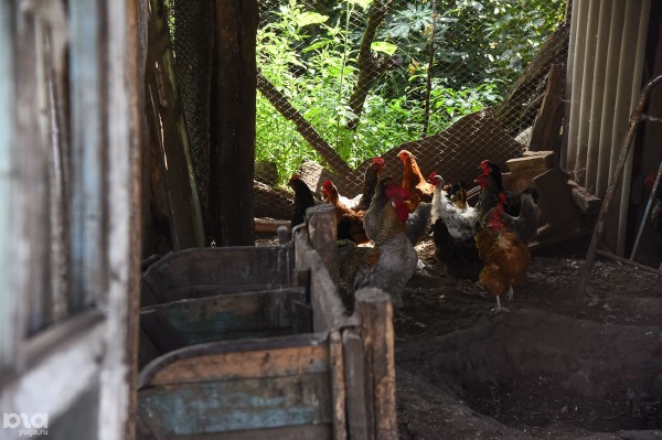 «Мы же не секта, мы христиане». Как живут молокане в современной России