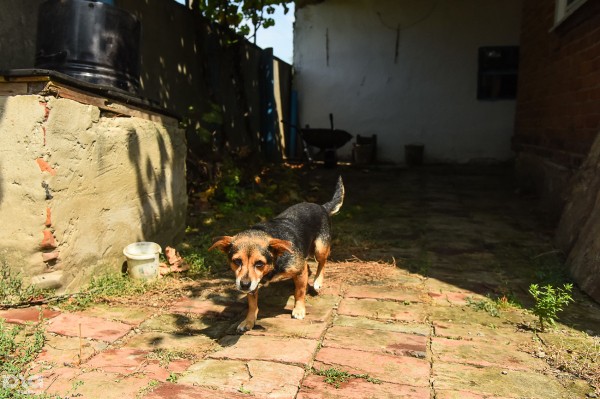 «Мы же не секта, мы христиане». Как живут молокане в современной России