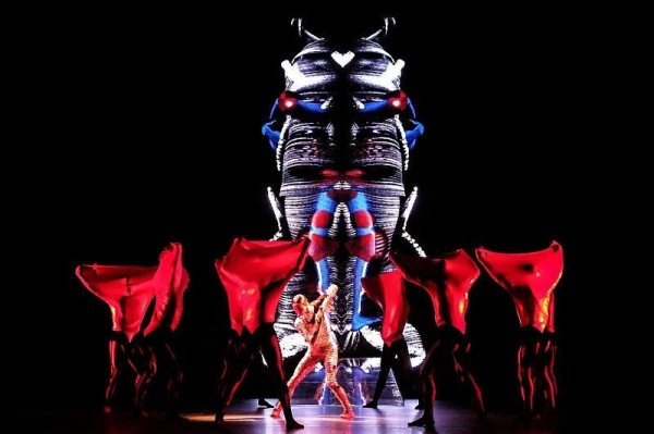 
            &laquo;Сны Спящей красавицы&raquo;: Диана Вишнева представила в Краснодаре новаторское шоу                    