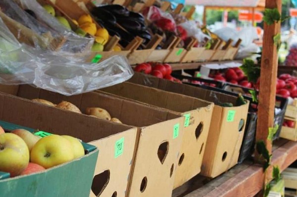 
            В Краснодарском крае стартовал сезон ярмарок выходного дня                    