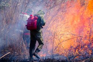 Земля горит. Чем опасны природные пожары на Кубани и кто с ними борется Земля горит. Чем опасны природные пожары на Кубани и кто с ними борется