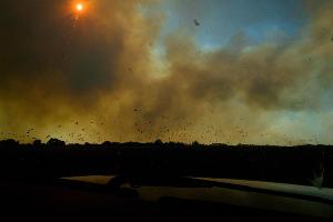 Земля горит. Чем опасны природные пожары на Кубани и кто с ними борется Земля горит. Чем опасны природные пожары на Кубани и кто с ними борется