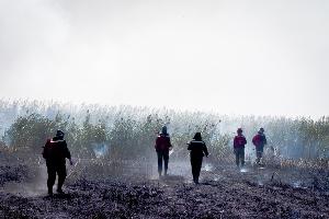 Земля горит. Чем опасны природные пожары на Кубани и кто с ними борется Земля горит. Чем опасны природные пожары на Кубани и кто с ними борется