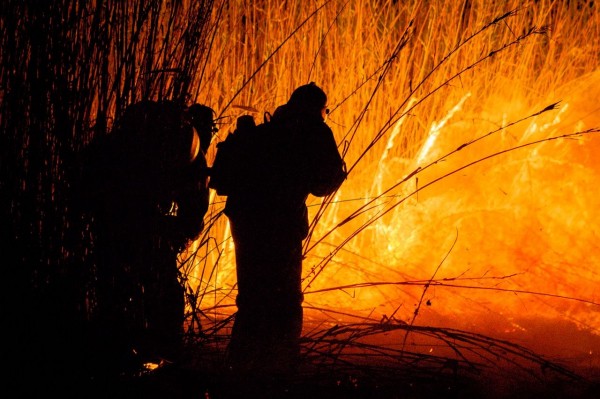 Земля горит. Чем опасны природные пожары на Кубани и кто с ними борется Земля горит. Чем опасны природные пожары на Кубани и кто с ними борется
