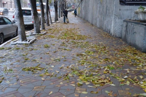 Какой будет погода на выходных в Краснодарском крае Какой будет погода на выходных в Краснодарском крае