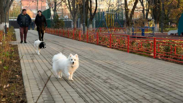 Памп-трек, тренажеры и футбол в одном месте: в Фестивальном микрорайоне Краснодара благоустроили сквер «Майский»