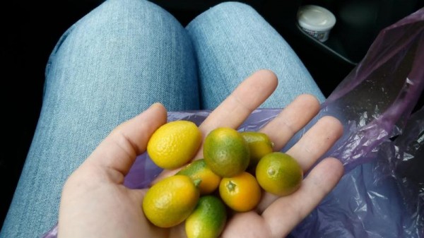 Диетолог разъяснила, какие продукты нельзя есть на голодный желудок