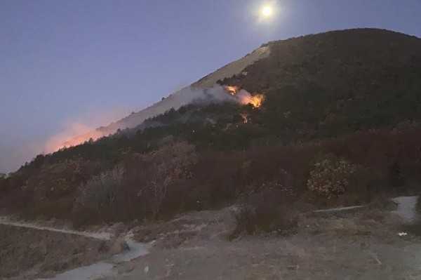 Новороссийский лес в огне Новороссийский лес в огне