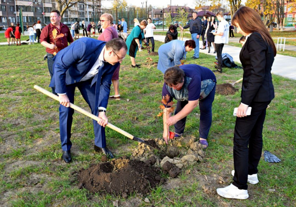 В Горячем Ключе заложили новую дубовую аллею