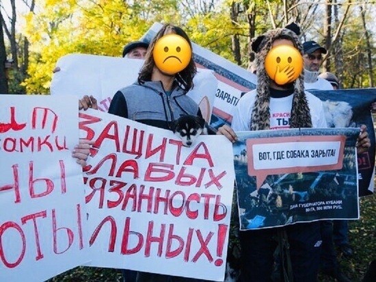Несостоявшуюся зоозащитную акцию в Краснодаре превратили в провокацию Несостоявшуюся зоозащитную акцию в Краснодаре превратили в провокацию