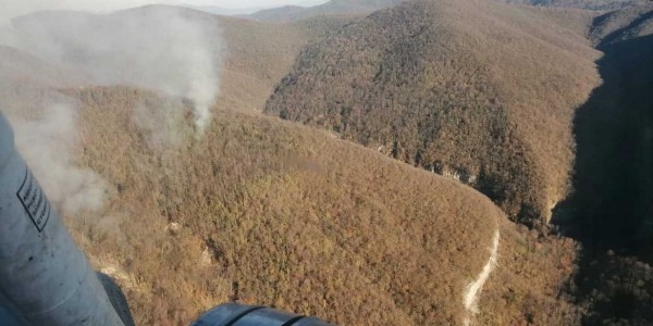 Пожар начался в национальном парке Сочи Пожар начался в национальном парке Сочи