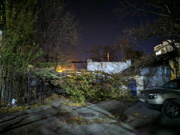 Ветер гнет металл: В Новороссийске введен режим ЧС из-за урагана