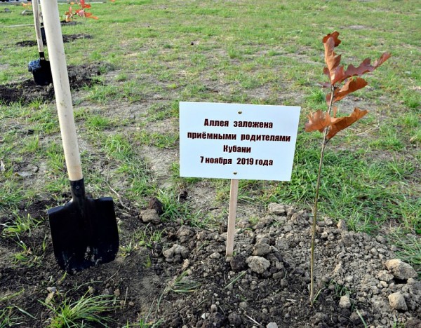 В Горячем Ключе заложили новую дубовую аллею