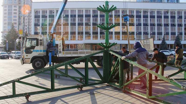 В Краснодаре начали установку главной городской елки