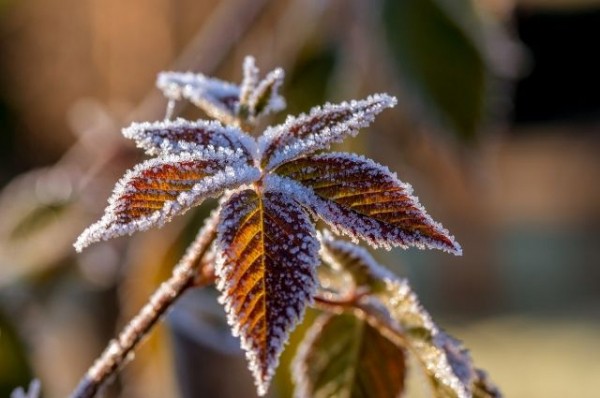 В середине недели в Краснодарском крае похолодает
