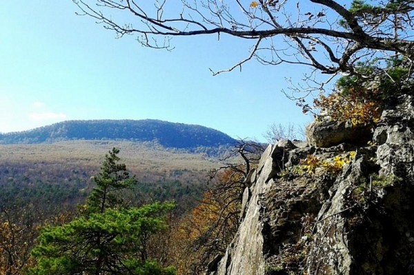 Губернатор с воздуха осмотрел пострадавшие от огня лесные массивы Краснодарского края
Губернатор с воздуха осмотрел пострадавшие от огня лесные массивы Краснодарского края