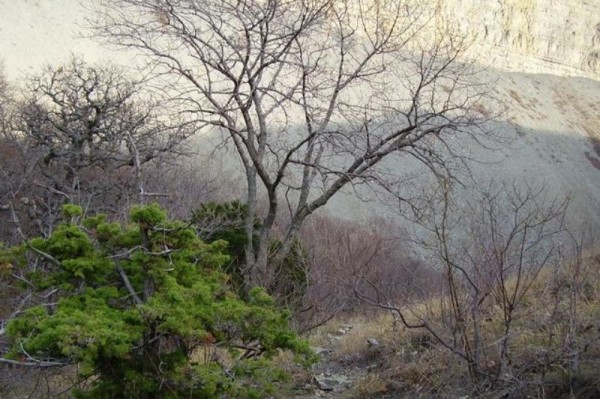 Легенды и достопримечательности Большого Утриша
Легенды и достопримечательности Большого Утриша