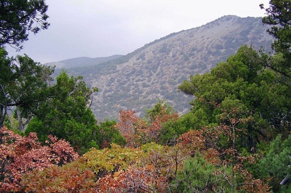 Легенды и достопримечательности Большого Утриша
Легенды и достопримечательности Большого Утриша