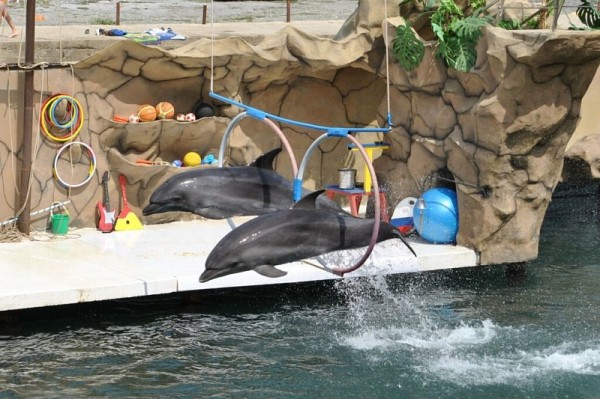 Легенды и достопримечательности Большого Утриша
Легенды и достопримечательности Большого Утриша