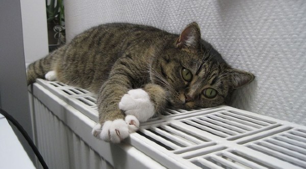 Мэрия Краснодара рассказала, куда обращаться, если есть проблемы с отоплением