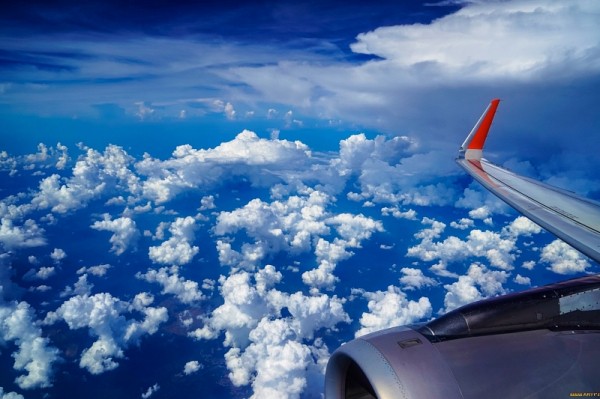 
            Пилот летевшего в Анапу самолета умер после экстренной посадки в Ростове-на-Дону                    