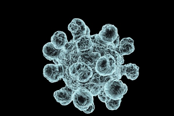 Ученые нашли способ уменьшить смертность от заражения из-за медицинских инструментов
Ученые нашли способ уменьшить смертность от заражения из-за медицинских инструментов