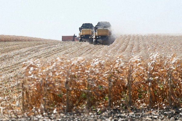 В Краснодарском крае около 38% сельскохозяйственной техники переведено на газомоторное топливо
В Краснодарском крае около 38% сельскохозяйственной техники переведено на газомоторное топливо
