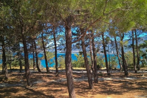 
            В Краснодарском крае создадут рабочую группу по контролю за застройкой лесного фонда                    