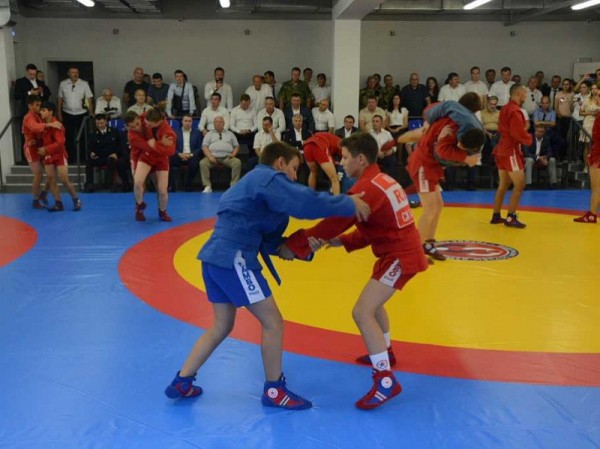 На Кубани станет вдвое больше школ с обязательным уроком самбо