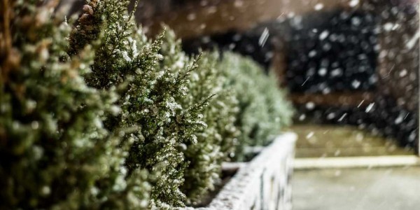 Фоторепортаж: первый снег в Краснодаре Фоторепортаж: первый снег в Краснодаре