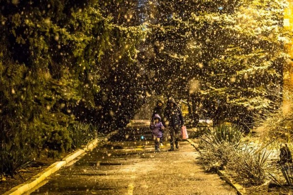 Фоторепортаж: первый снег в Краснодаре Фоторепортаж: первый снег в Краснодаре