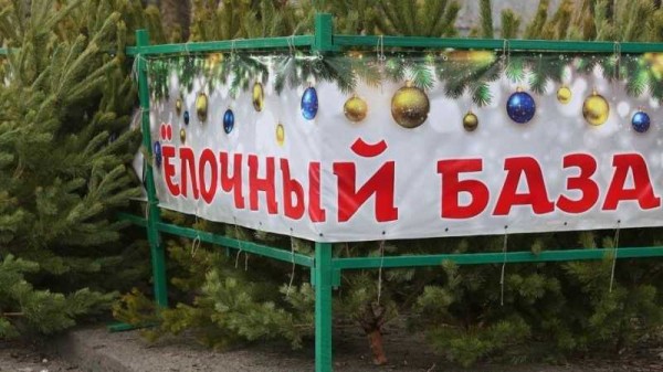 Интерактивная карта ёлочных базаров: в Краснодаре стартует массовая продажа главных символов Нового года Интерактивная карта ёлочных базаров: в Краснодаре стартует массовая продажа главных символов Нового года