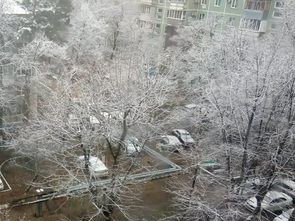 Из-за налипания мокрого снега жители двух районов Кубани остались без света Из-за налипания мокрого снега жители двух районов Кубани остались без света