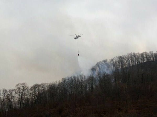 Лесной пожар в Лазаревском районе Сочи практически ликвидирован